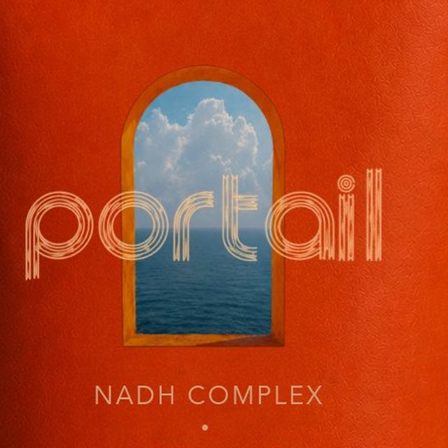 Close view of the window artwork on the pouch