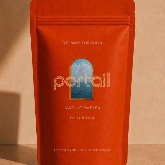 The Portail pouch standing in warm light
